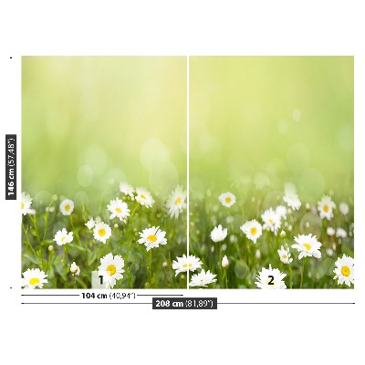 Wallpaper Daisies