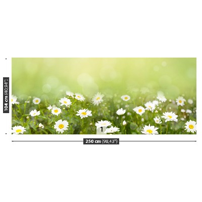 Wallpaper Daisies