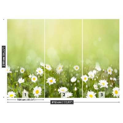 Wallpaper Daisies