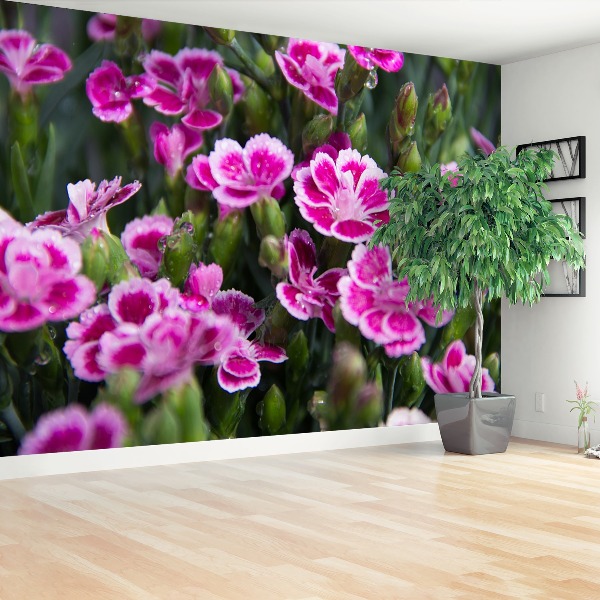 Wallpaper Pink flowers