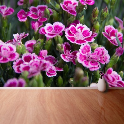 Wallpaper Pink flowers