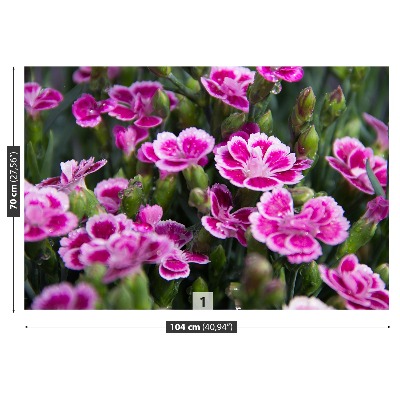 Wallpaper Pink flowers