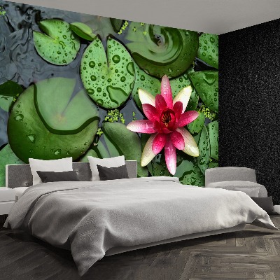 Wallpaper Lotos pond