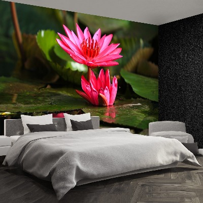 Wallpaper Lotos pond