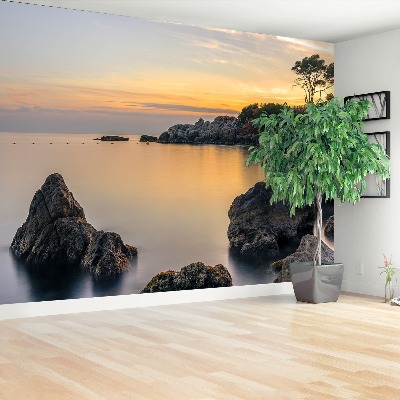 Wallpaper Bandol