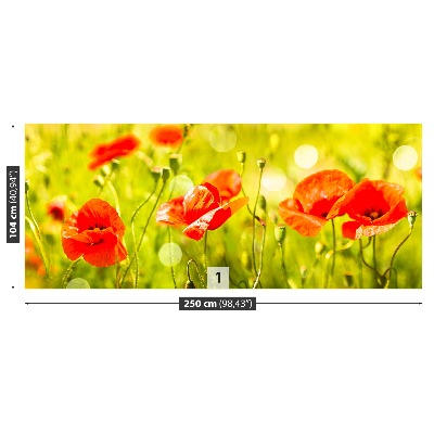 Wallpaper Poppies meadow