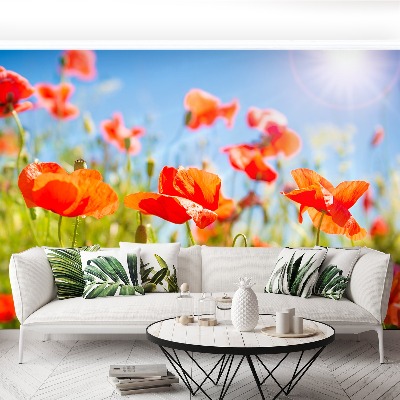 Wallpaper Red poppies