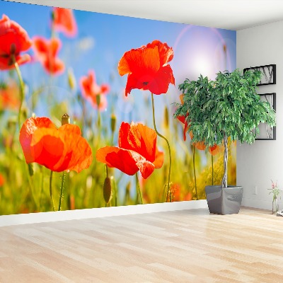 Wallpaper Red poppies