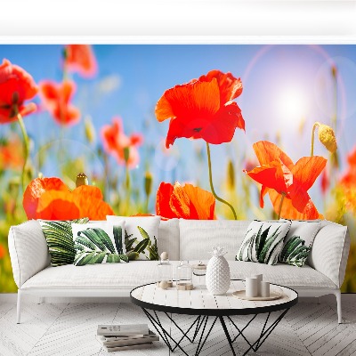 Wallpaper Red poppies