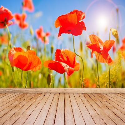 Wallpaper Red poppies