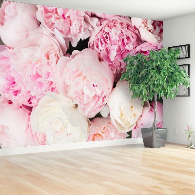 Wallpaper Pink peonies