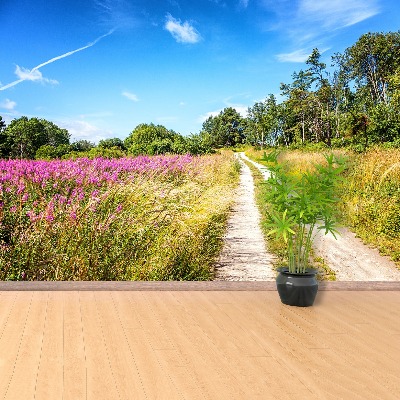 Wallpaper Blossoming meadow