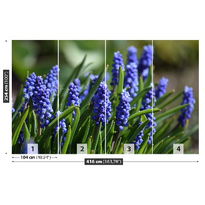 Wallpaper Blue hyacinths