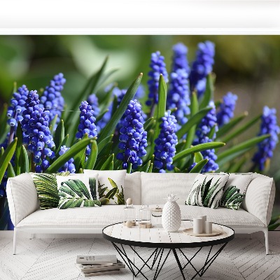 Wallpaper Blue hyacinths