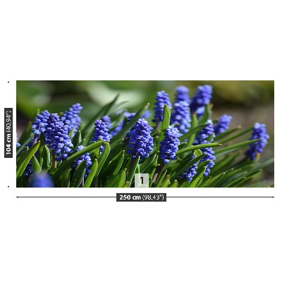 Wallpaper Blue hyacinths