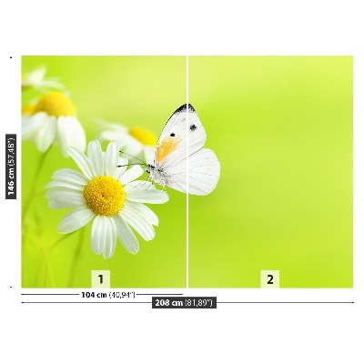 Wallpaper Butterfly and chamomile