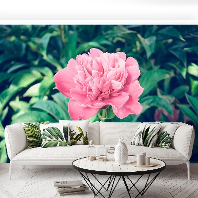 Wallpaper Pink peonies