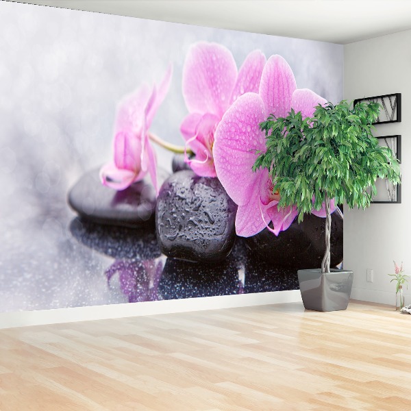 Wallpaper Orchid stones