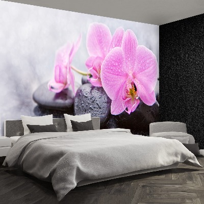 Wallpaper Orchid stones