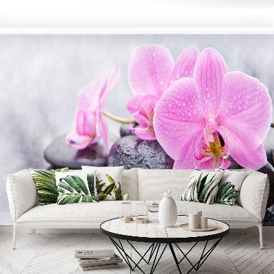 Wallpaper Orchid stones