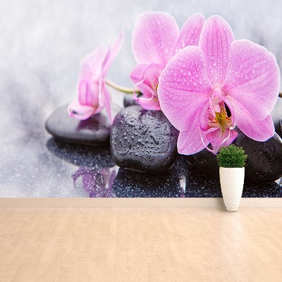 Wallpaper Orchid stones