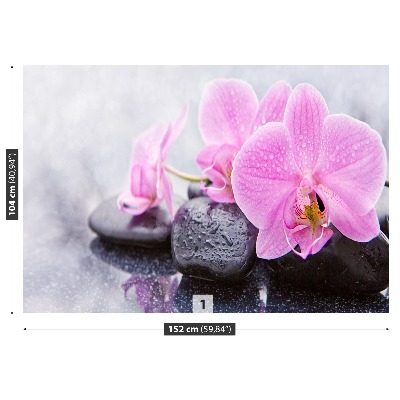 Wallpaper Orchid stones