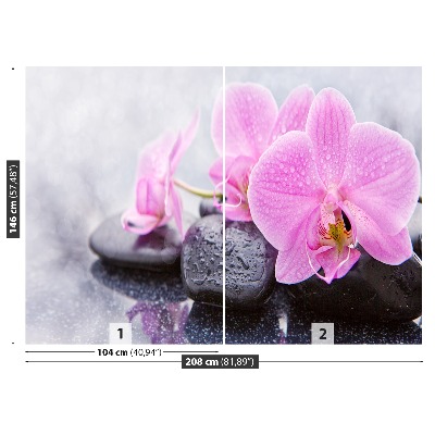 Wallpaper Orchid stones