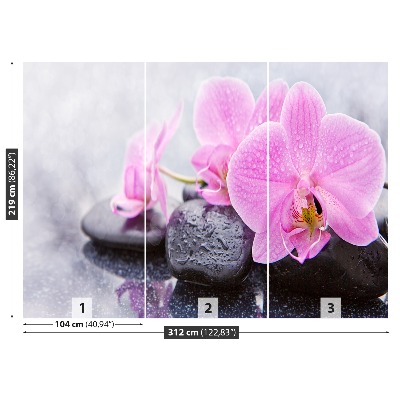 Wallpaper Orchid stones