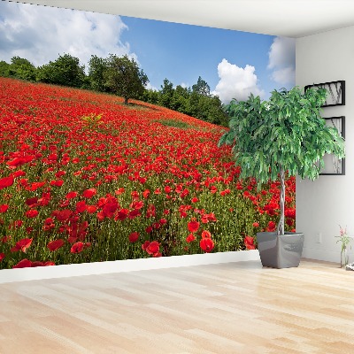 Wallpaper Field of poppies