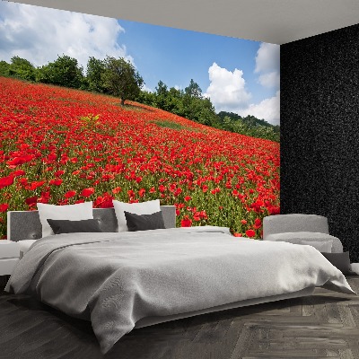 Wallpaper Field of poppies