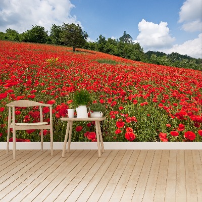 Wallpaper Field of poppies