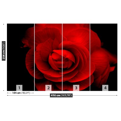 Wallpaper Red rose