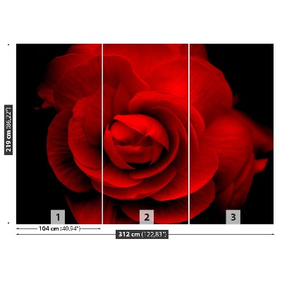 Wallpaper Red rose