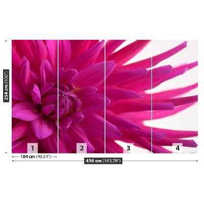 Wallpaper Dahlia pink