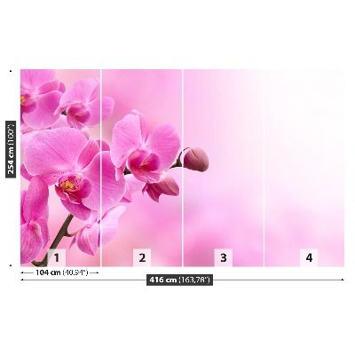 Wallpaper Pink orchid