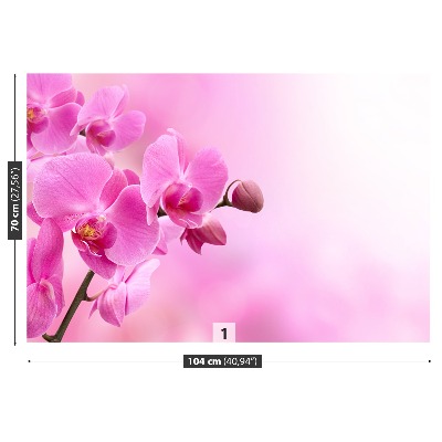 Wallpaper Pink orchid