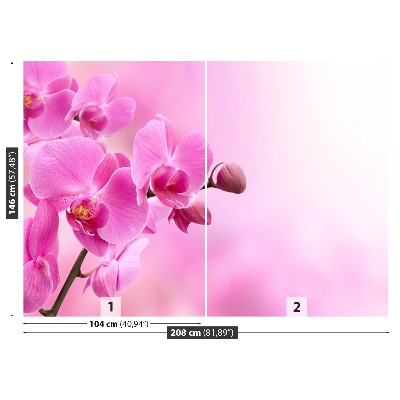 Wallpaper Pink orchid