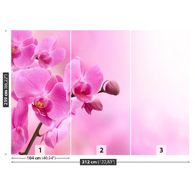 Wallpaper Pink orchid