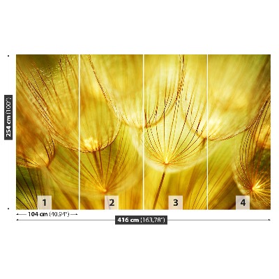 Wallpaper Dandelion golden