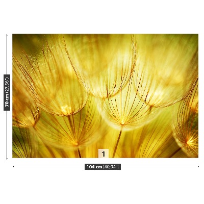Wallpaper Dandelion golden