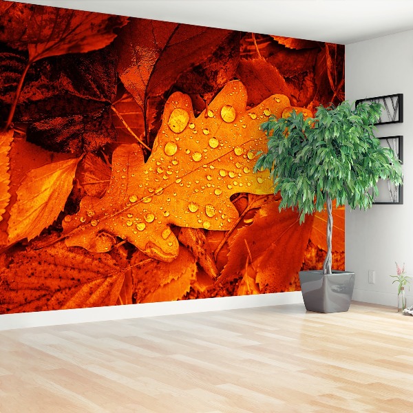 Wallpaper Oak leaf