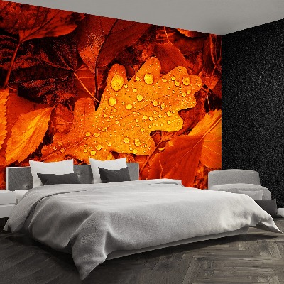 Wallpaper Oak leaf