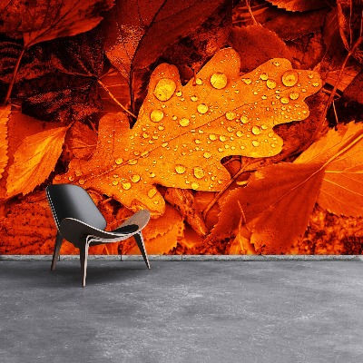 Wallpaper Oak leaf