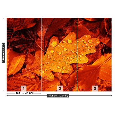 Wallpaper Oak leaf