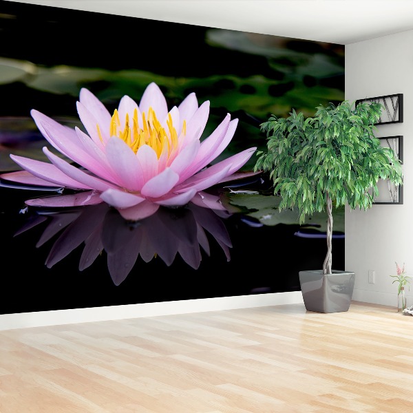 Wallpaper Pink lotus