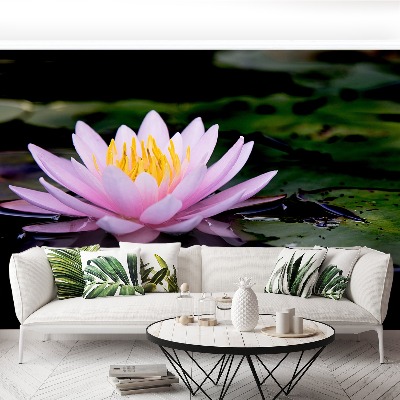 Wallpaper Pink lotus