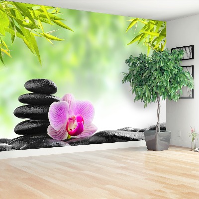 Wallpaper Orchid and stones