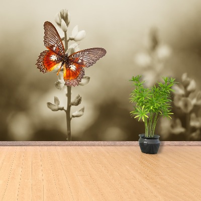 Wallpaper Butterfly flowers