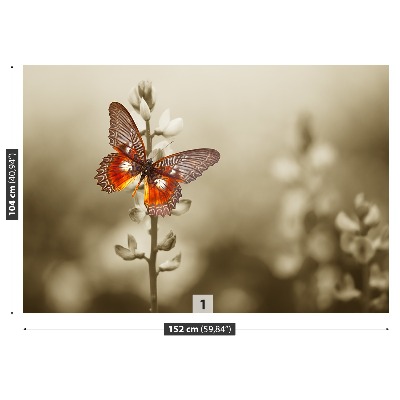 Wallpaper Butterfly flowers