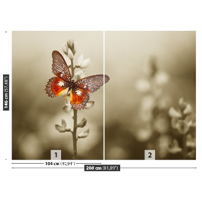 Wallpaper Butterfly flowers